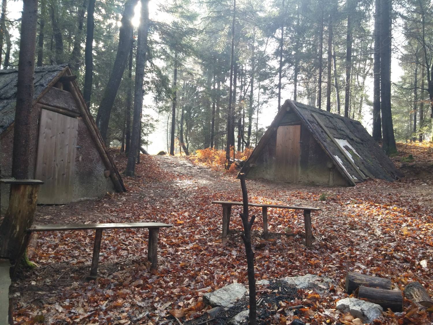 Kriva jelka -Zgornje Duplje-Udin boršt 195