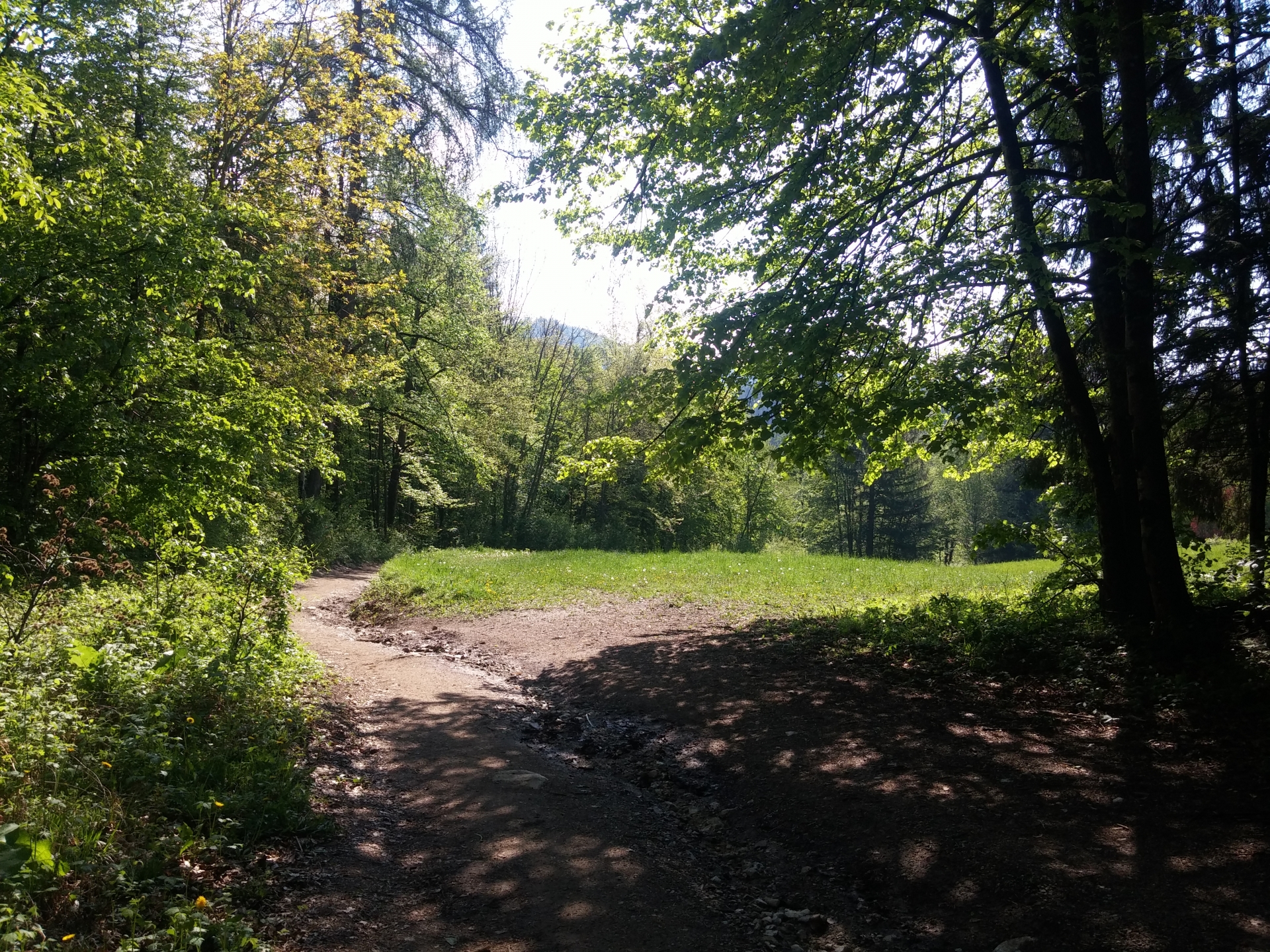 Ojstrica nad Blejskim jezerom 63