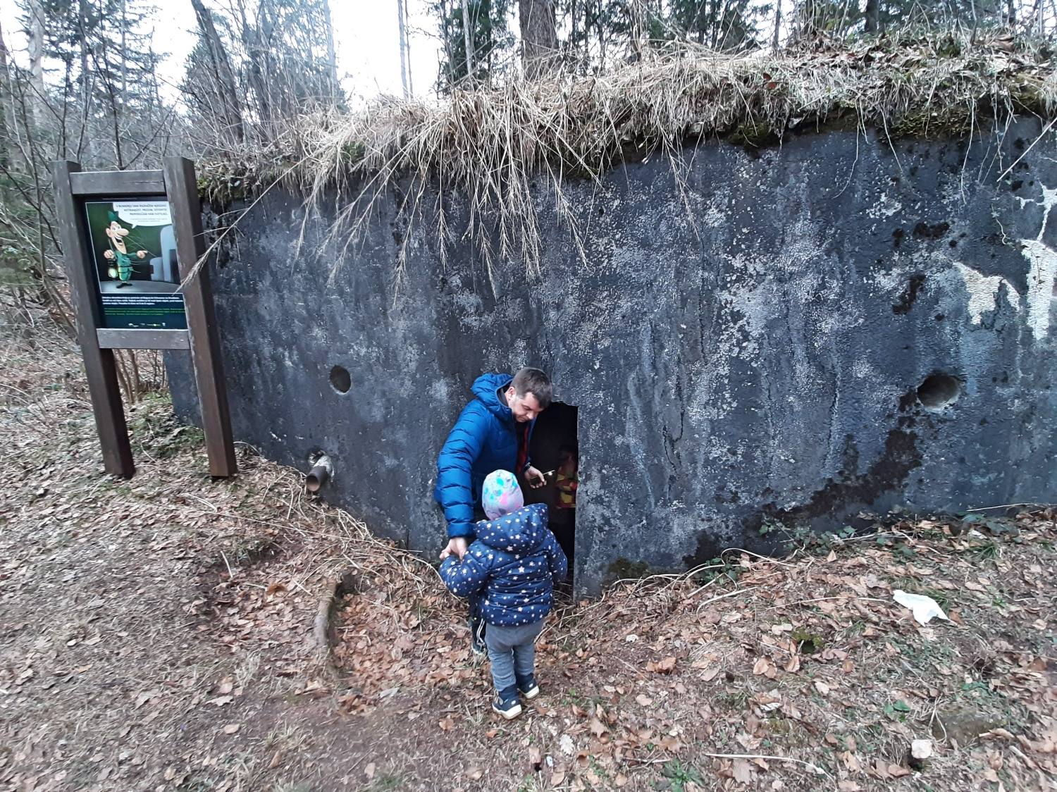 Tavčarjev dvorec-Visoko pri Poljanah 5462