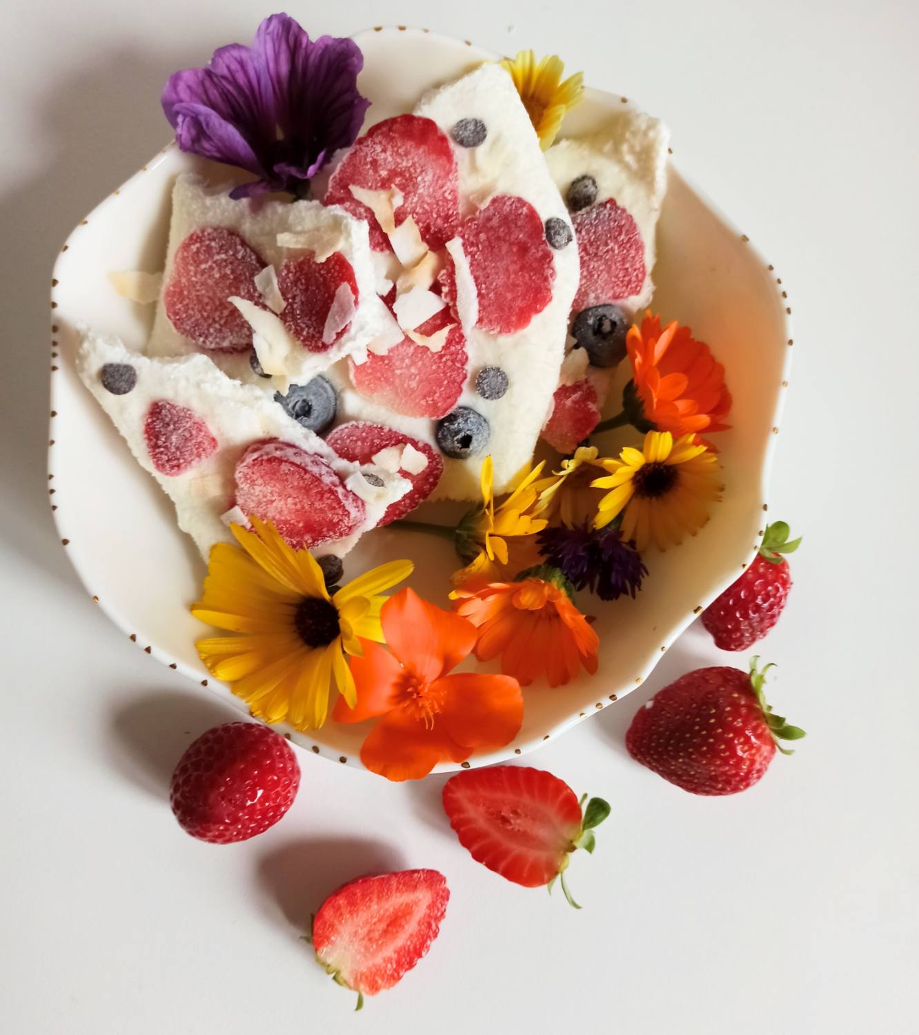 Jogurt je zdrav, Yoghurt 7905