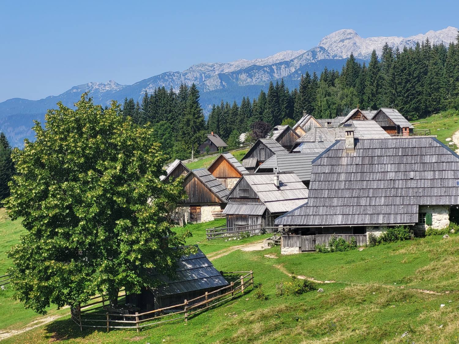 Planina Zajamniki 8238