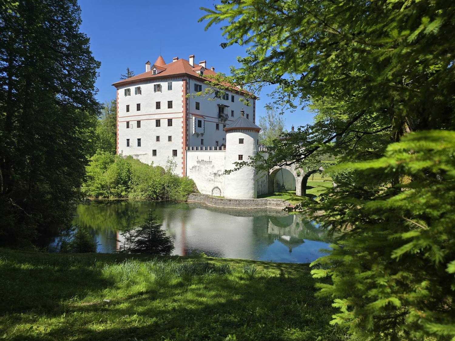 Grad Snežnik 10003